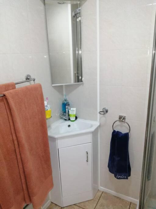 2 Bed Villa With Full Use Of Site Facilities New Quay Εξωτερικό φωτογραφία